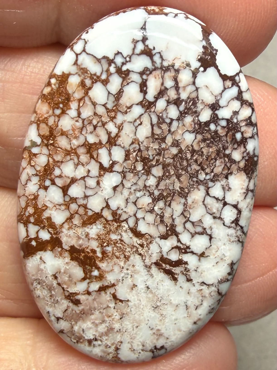 Oval 37x24mm Wild Horse Magnesite Cabochon 43