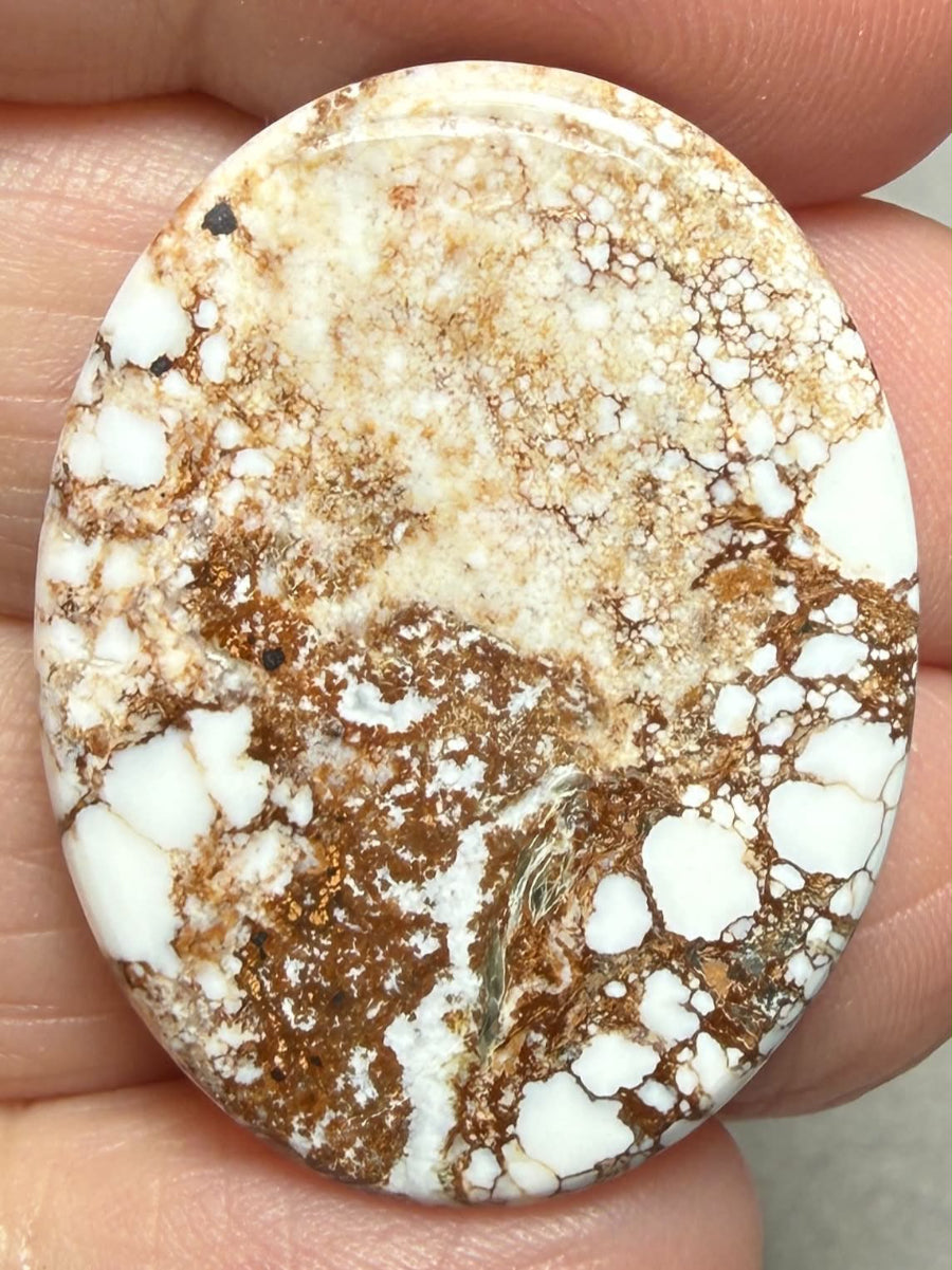 Oval 32x24mm Wild Horse Magnesite Cabochon 47