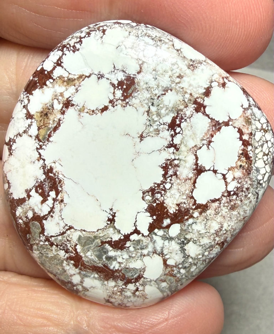 Freeform 39x36mm Wild Horse Magnesite Cabochon 50