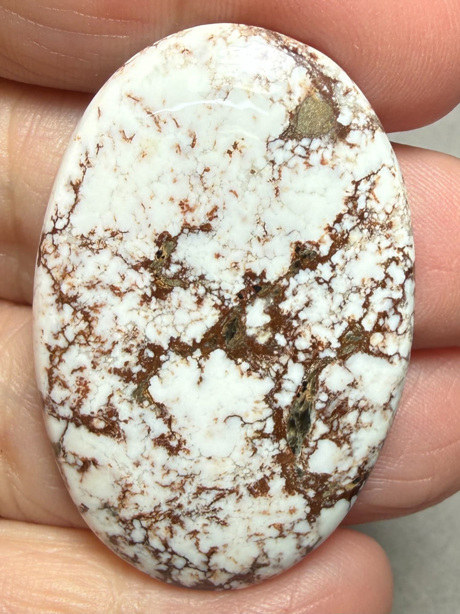 Oval 43x28mm Wild Horse Magnesite Cabochon 57