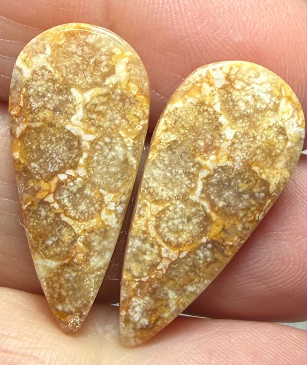 Teardrop 28x13mm Gold Fossil Coral Cabochon Pair 05