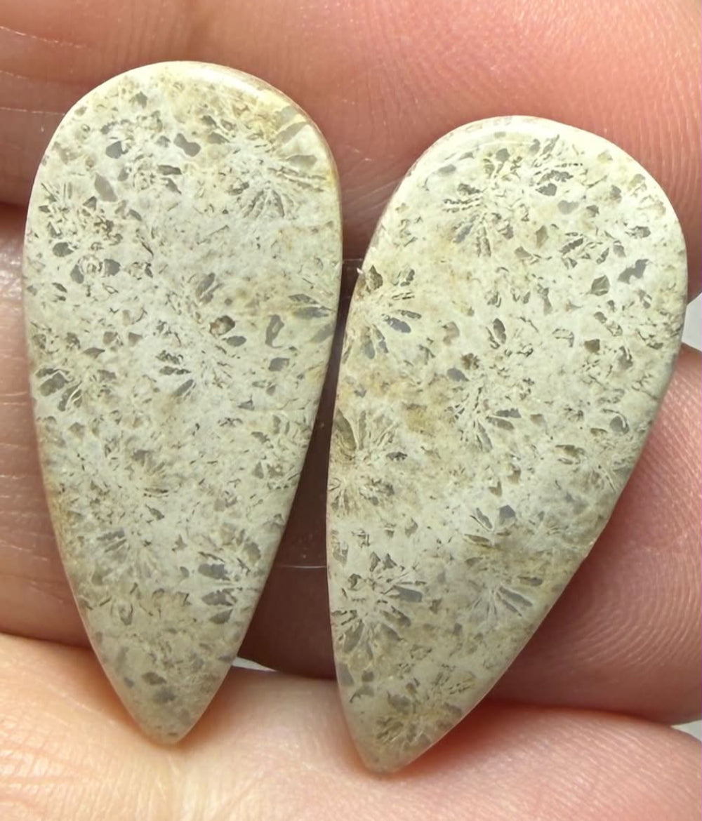 Teardrop 26x12mm Gold Fossil Coral Cabochon Pair 06