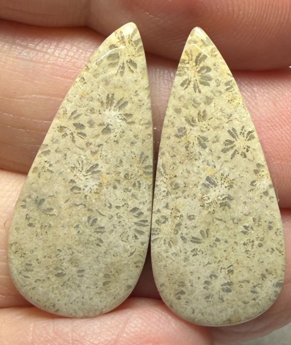 Teardrop 29x13mm Gold Fossil Coral Cabochon Pair 11