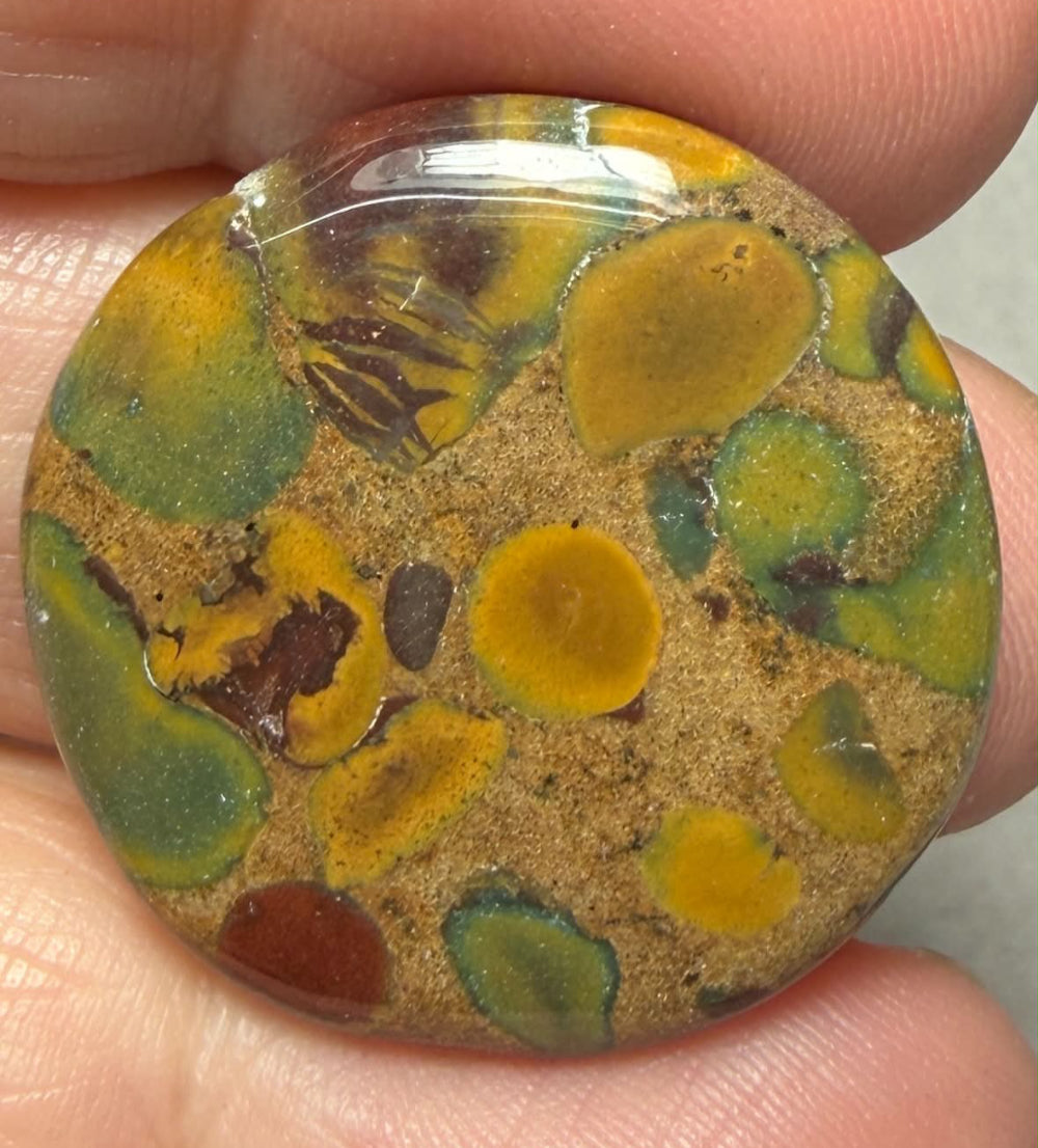 Round 27x27mm Fruit Jasper Cabochon 33