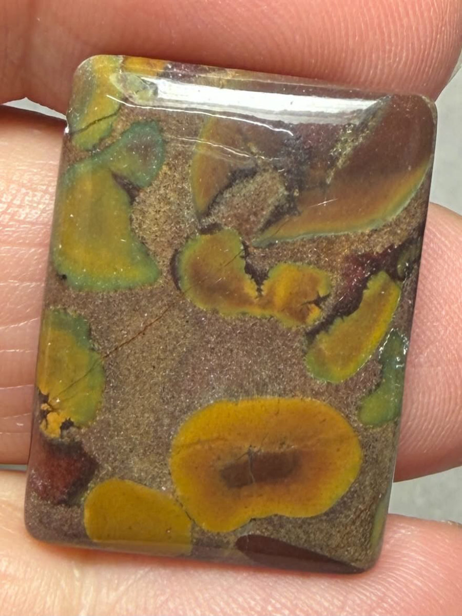 Rectangle 25x19mm Fruit Jasper Cabochon 34