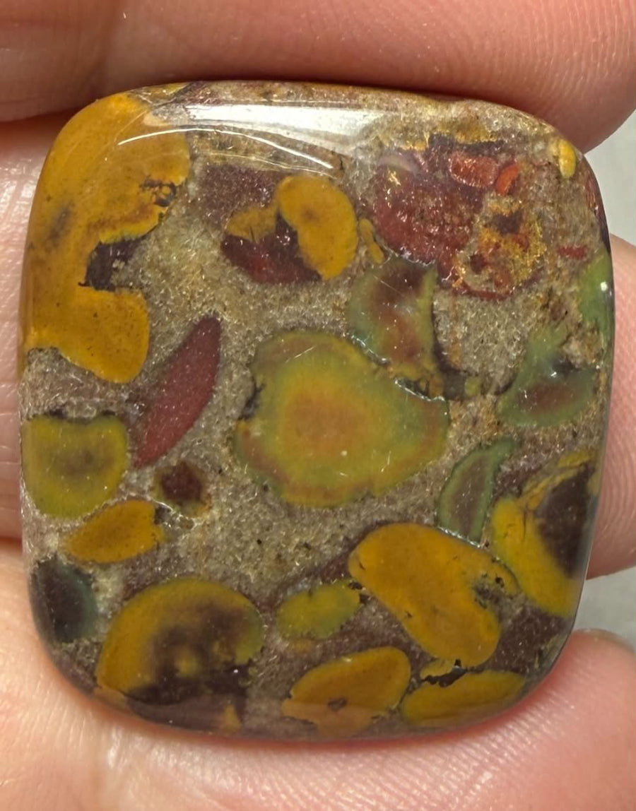 Rectangle 26x23mm Fruit Jasper Cabochon 44