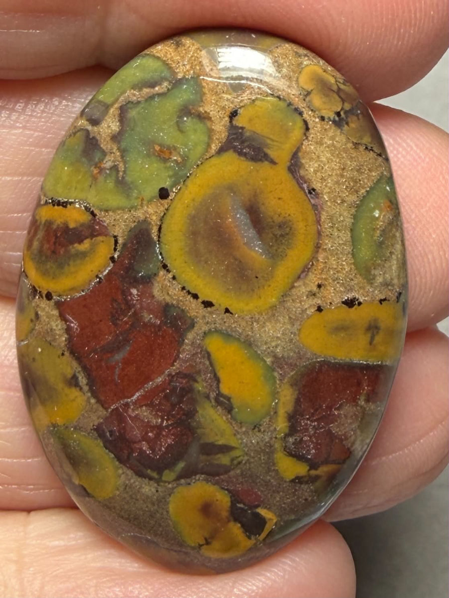 Oval 35x24mm Fruit Jasper Cabochon 47