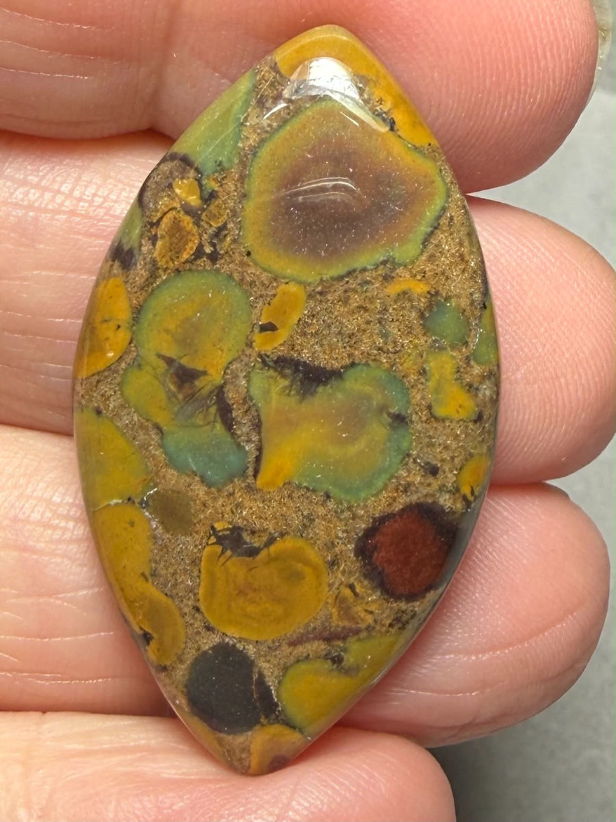 Marquise 39x22mm Fruit Jasper Cabochon 53