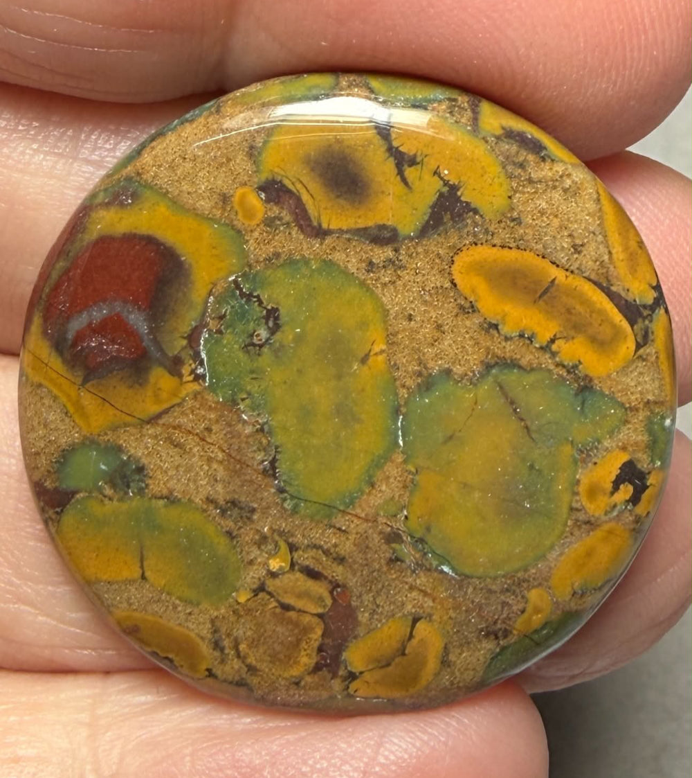 Round 32x32mm Fruit Jasper Cabochon 55