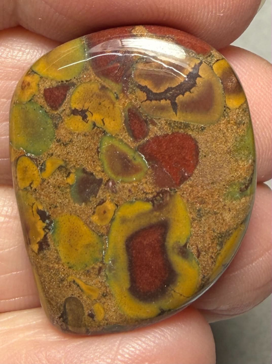 Freeform 31x24mm Fruit Jasper Cabochon 56