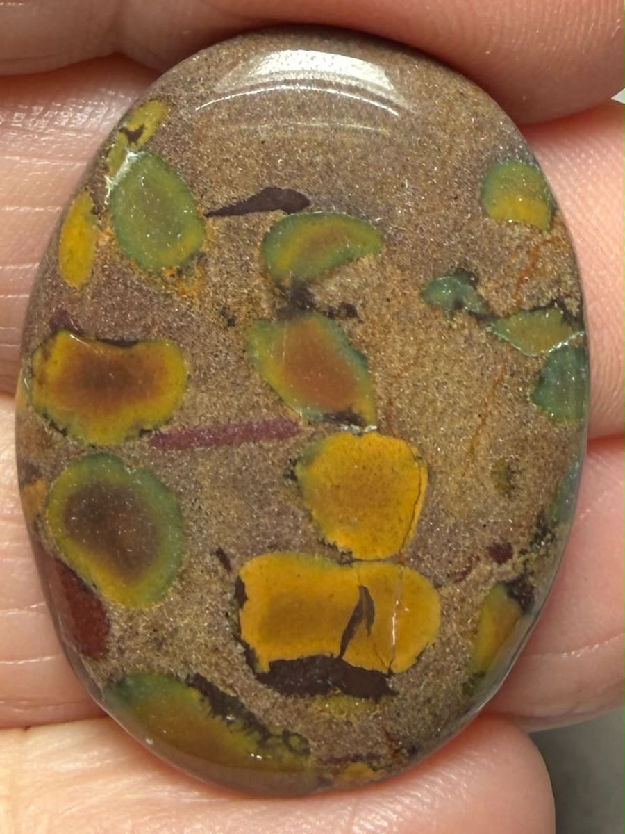 Oval 32x23mm Fruit Jasper Cabochon 57