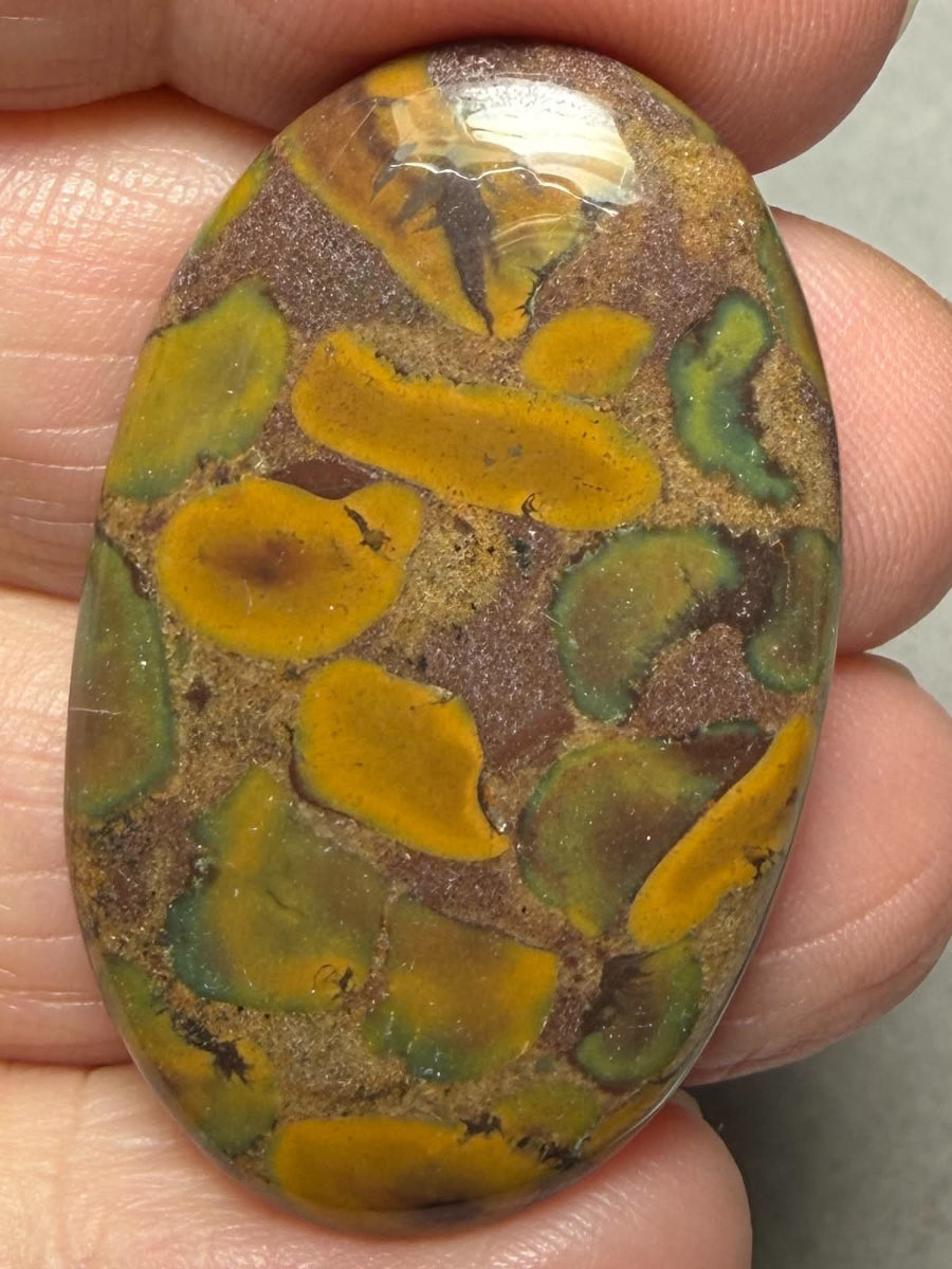 Oval 38x23mm Fruit Jasper Cabochon 59