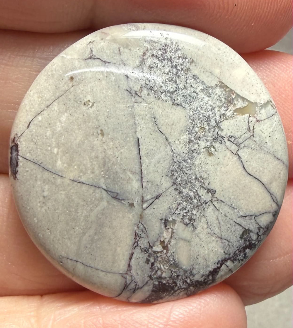 Round 29x29mm Porcelain Jasper Cabochon 32
