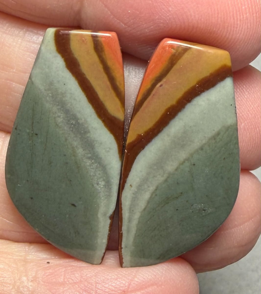 Freeform 29x14mm Polychrome Jasper Cabochon Pair 13