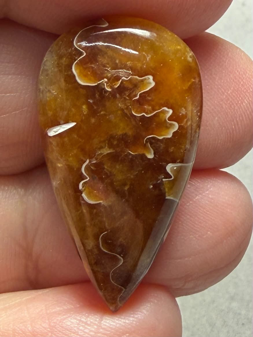 Teardrop 30x16mm Sutured Ammonite Cabochon 12