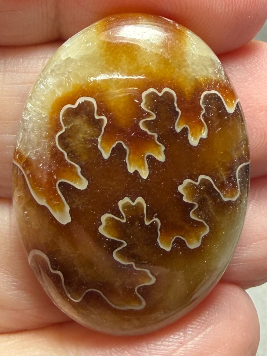 Oval 34x25mm Sutured Ammonite Cabochon 16
