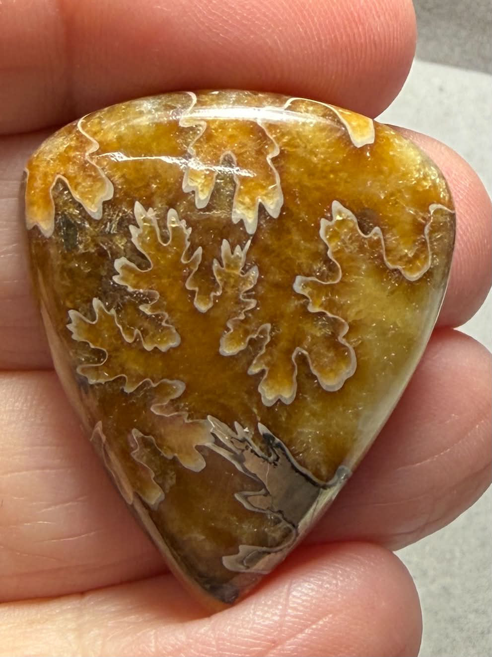 Teardrop 34x29mm Sutured Ammonite Cabochon 21
