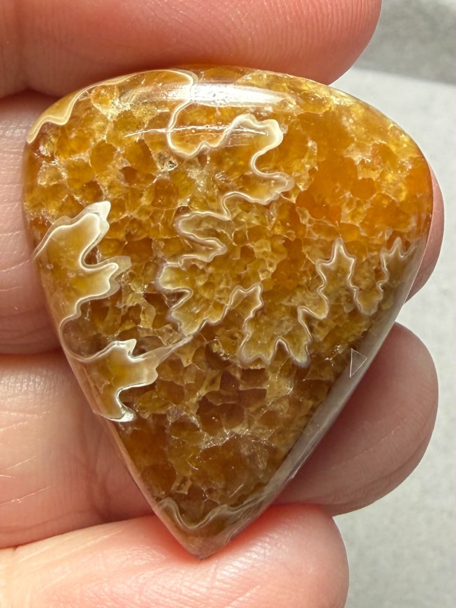 Teardrop 32x26mm Sutured Ammonite Cabochon 44