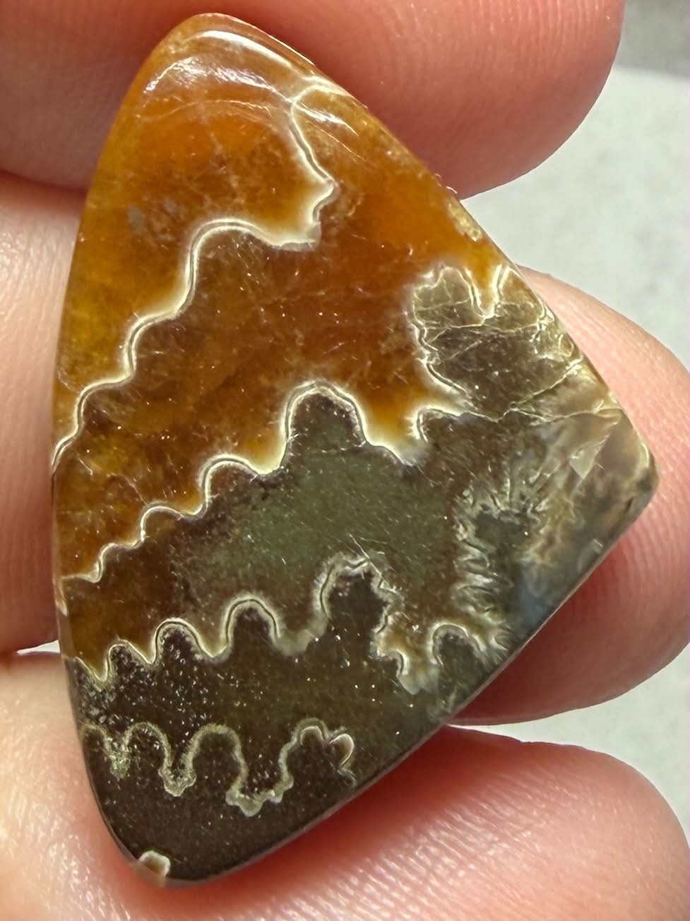 Freeform 28x19mm Sutured Ammonite Cabochon 48