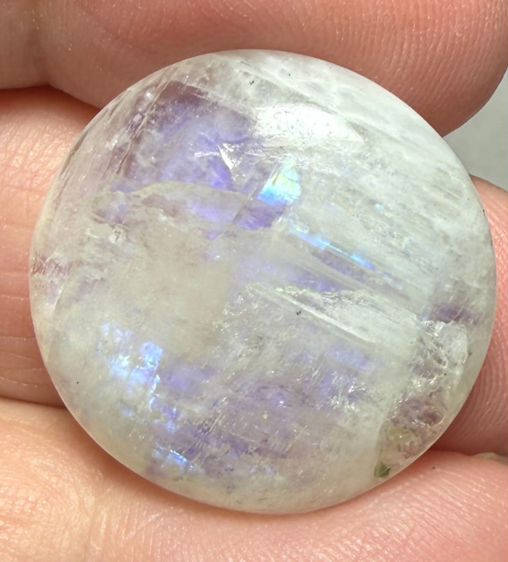 Round 23x23mm Rainbow Moonstone Cabochon 79