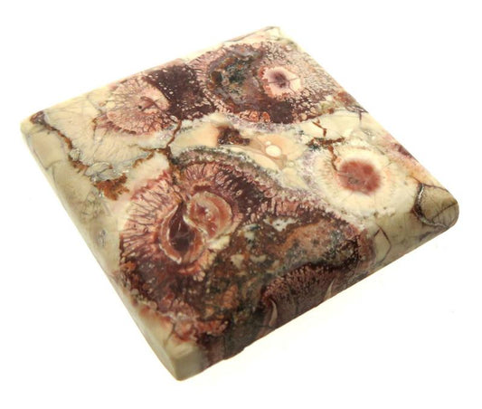 Square 28x26mm Birds Eye Jasper Cabochon 06