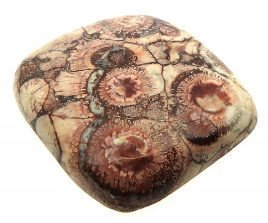 Rectangle 32x29mm Birds Eye Jasper Cabochon 09