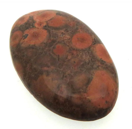 Oval 39x23mm Poppy Jasper Cabochon 05