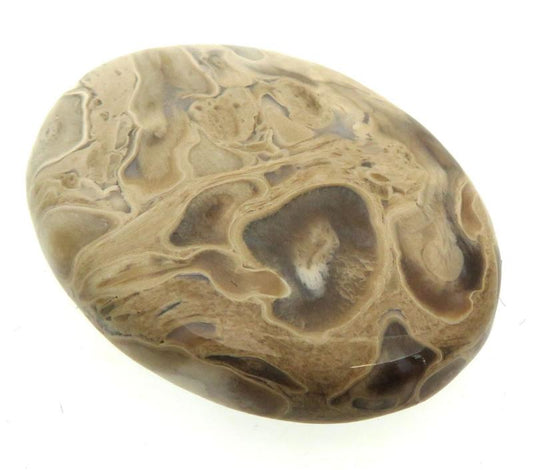 Oval 32x25mm Indonesian Palm Root Cabochon 02