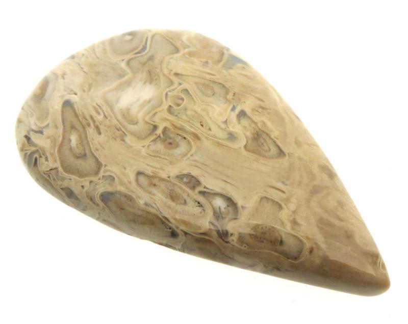 Teardrop 46x28mm Indonesian Palm Root Cabochon 05