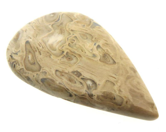 Teardrop 46x28mm Indonesian Palm Root Cabochon 05