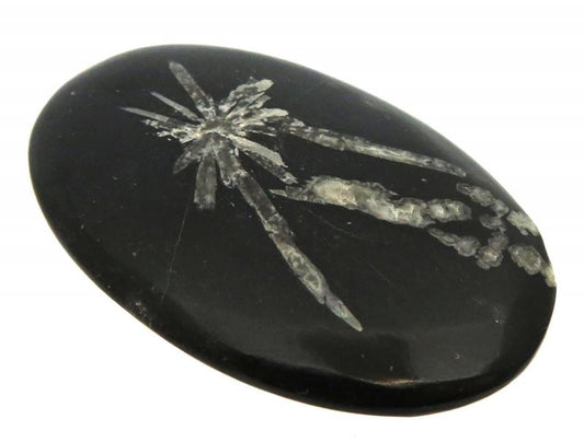 Oval 48x31mm Chrysanthemum Stone Cabochon 03
