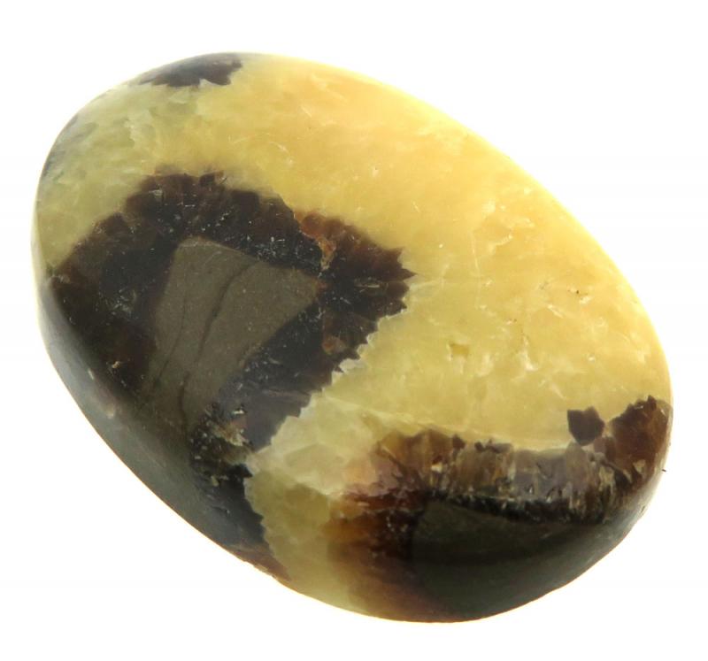 Oval 35x23mm Septarian Cabochon 03