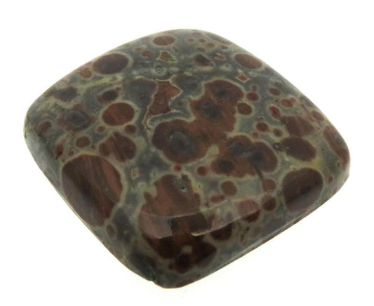 Rectangle 26x24mm Asteroid Jasper Cabochon 06
