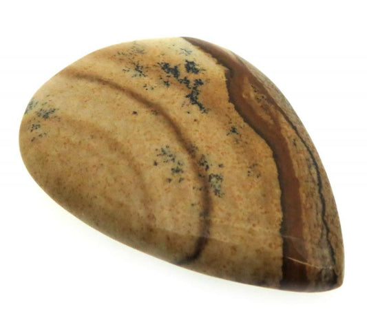 Teardrop 36x25mm Picture Jasper Cabochon 05