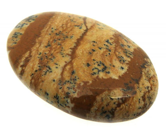 Oval 36x24mm Picture Jasper Cabochon 07
