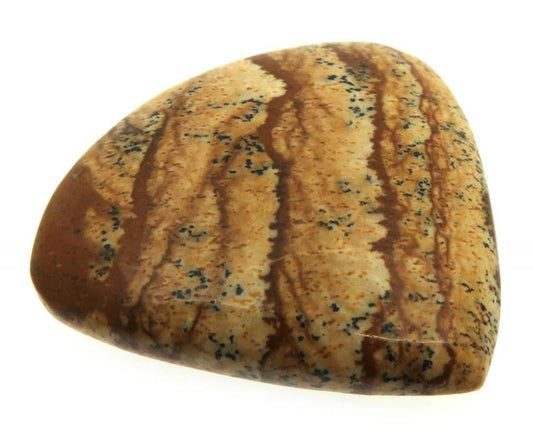 Teardrop 26x27mm Picture Jasper Cabochon 13