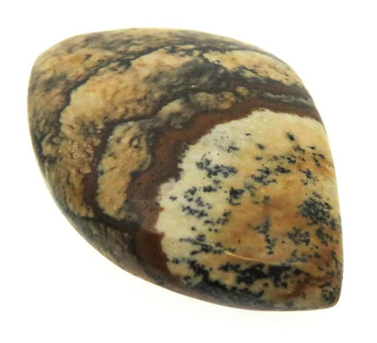 Freeform 30x20mm Picture Jasper Cabochon 15