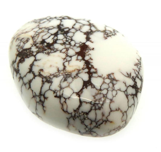 Freeform 26x20mm Wild Horse Magnesite Cabochon 09