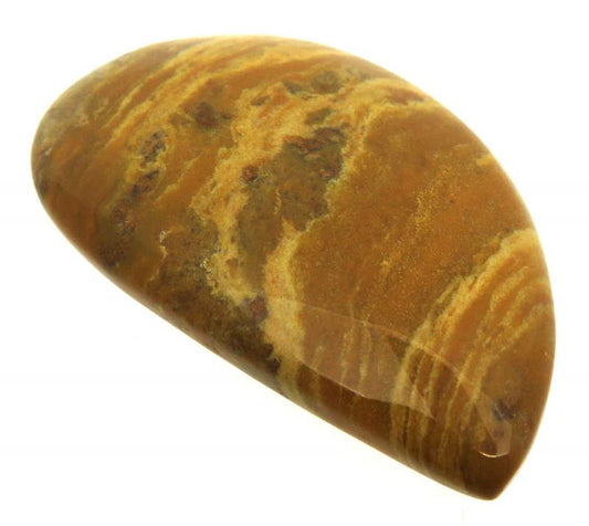 Freeform 45x28mm Wood Jasper Cabochon 01