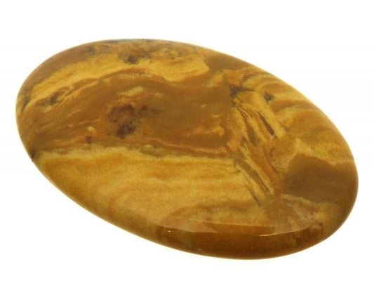 Oval 46x31mm Wood Jasper Cabochon 08