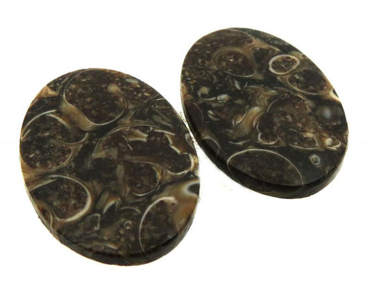 Oval 23x16mm Turritella Agate Cabochon Pair 02