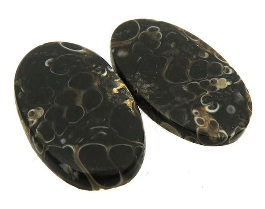 Oval 24x14mm Turritella Agate Cabochon Pair 03