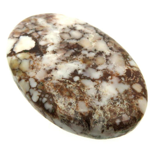 Oval 37x25mm Wild Horse Magnesite Cabochon 13