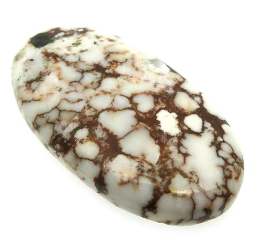 Oval 41x23mm Wild Horse Magnesite Cabochon 18