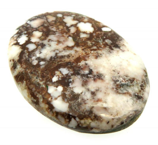 Oval 38x28mm Wild Horse Magnesite Cabochon 21