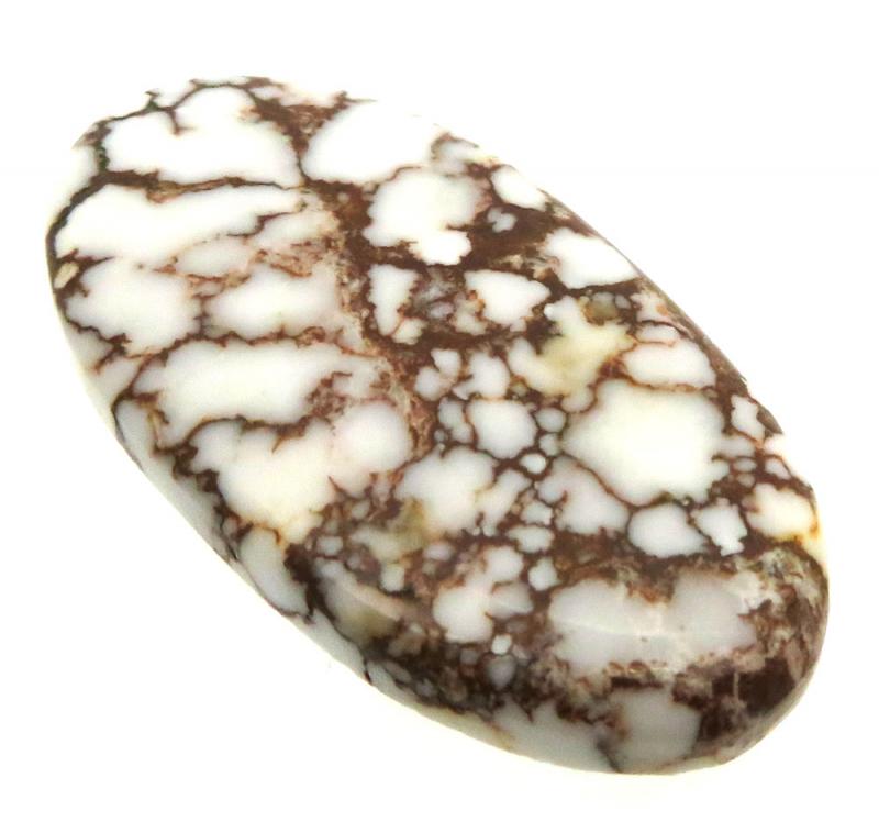 Oval 40x21mm Wild Horse Magnesite Cabochon 24