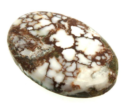 Oval 34x24mm Wild Horse Magnesite Cabochon 29