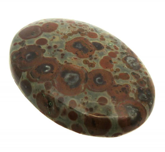 Oval 35x24mm Asteroid Jasper Cabochon 10