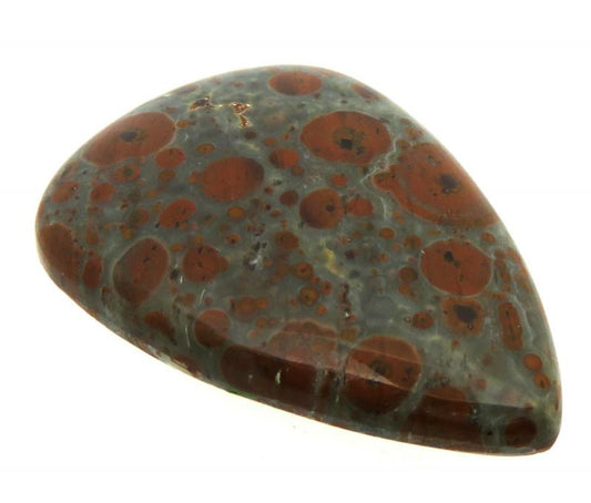 Teardrop 37x27mm Asteroid Jasper Cabochon 16