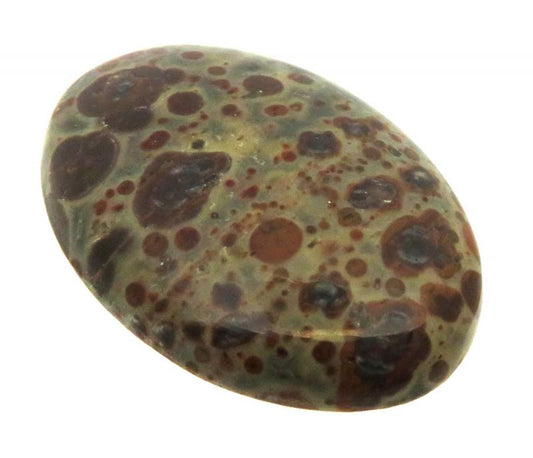 Oval 33x23mm Asteroid Jasper Cabochon 19